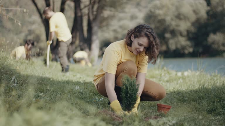 Best Root Management and Removal  in Cottage Grove, MN